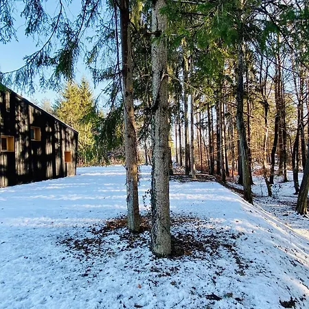 Awesome In W/ 2 Bedrooms